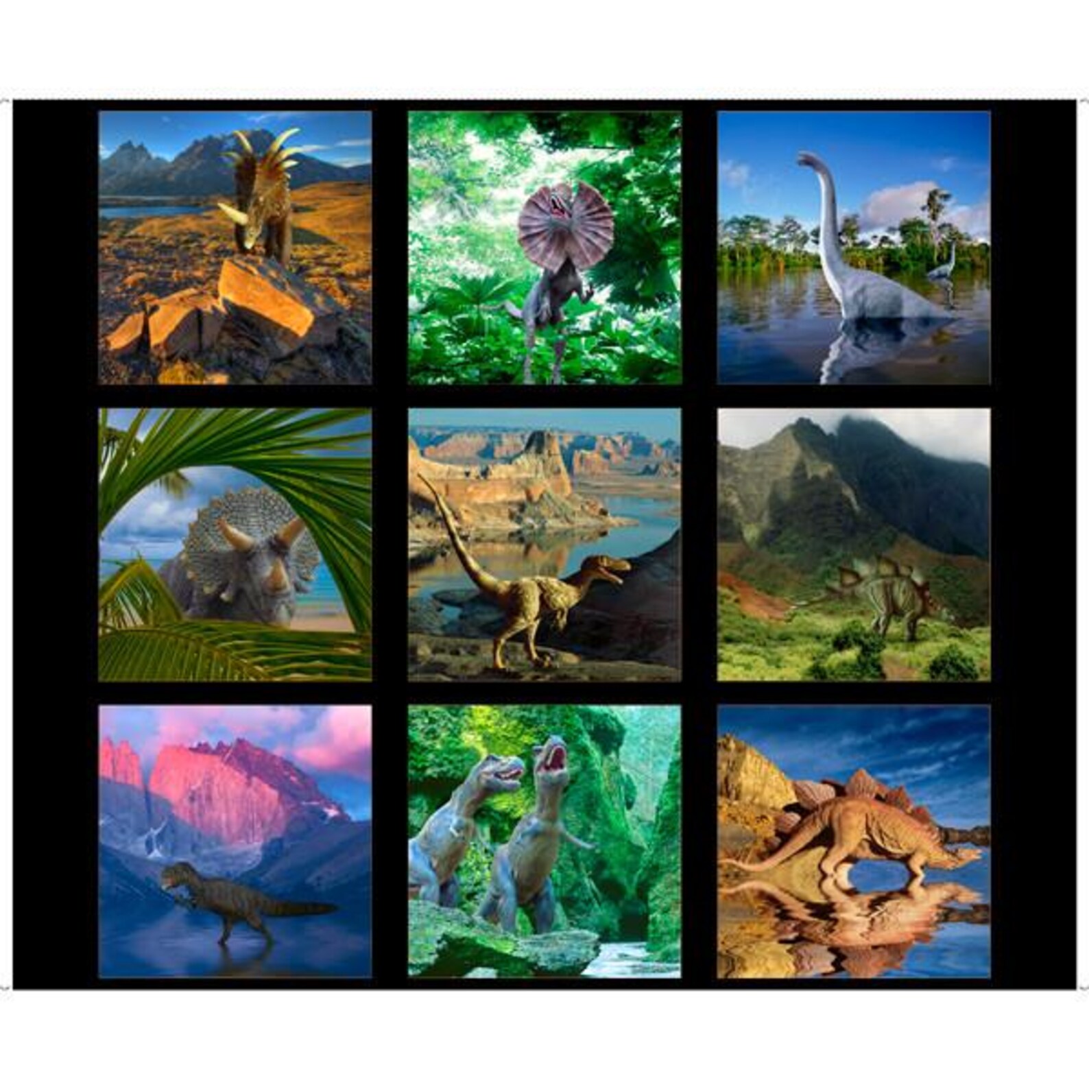 36" X 44" Panel Artworks XVII Dinosaur Patches Black Dinosaurs Dinos ...