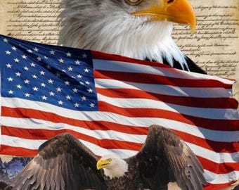 36" X 44" Panel Eagle & Constitution Panel America Bald Eagle Flag Mountains Patriotic David Textiles Cotton Fabric (DX-4234-3C) D302.82