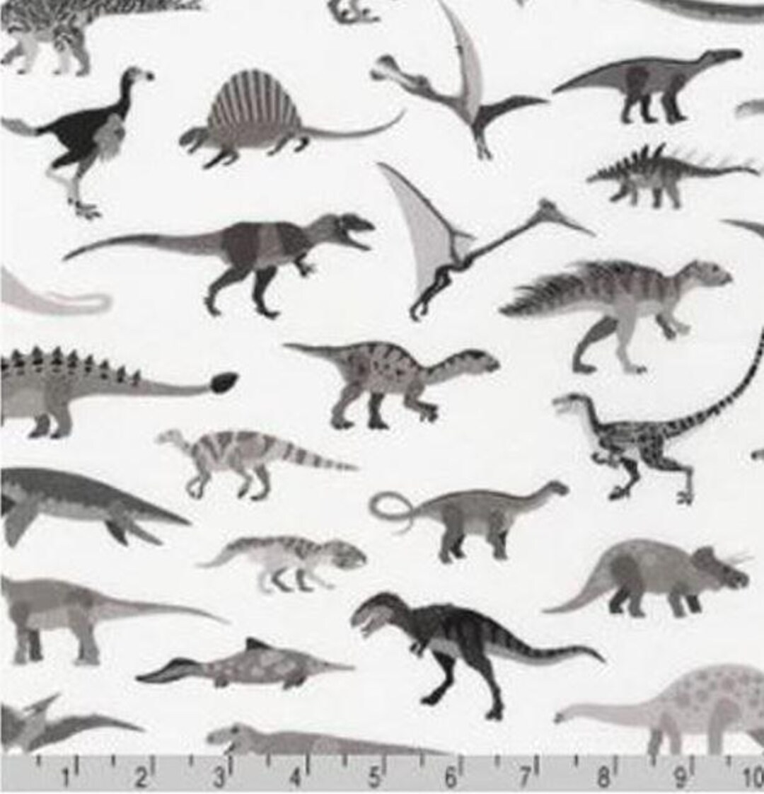 Cotton Alphabetosaurus Grey Dinosaurs Kids Prehistoric Animals