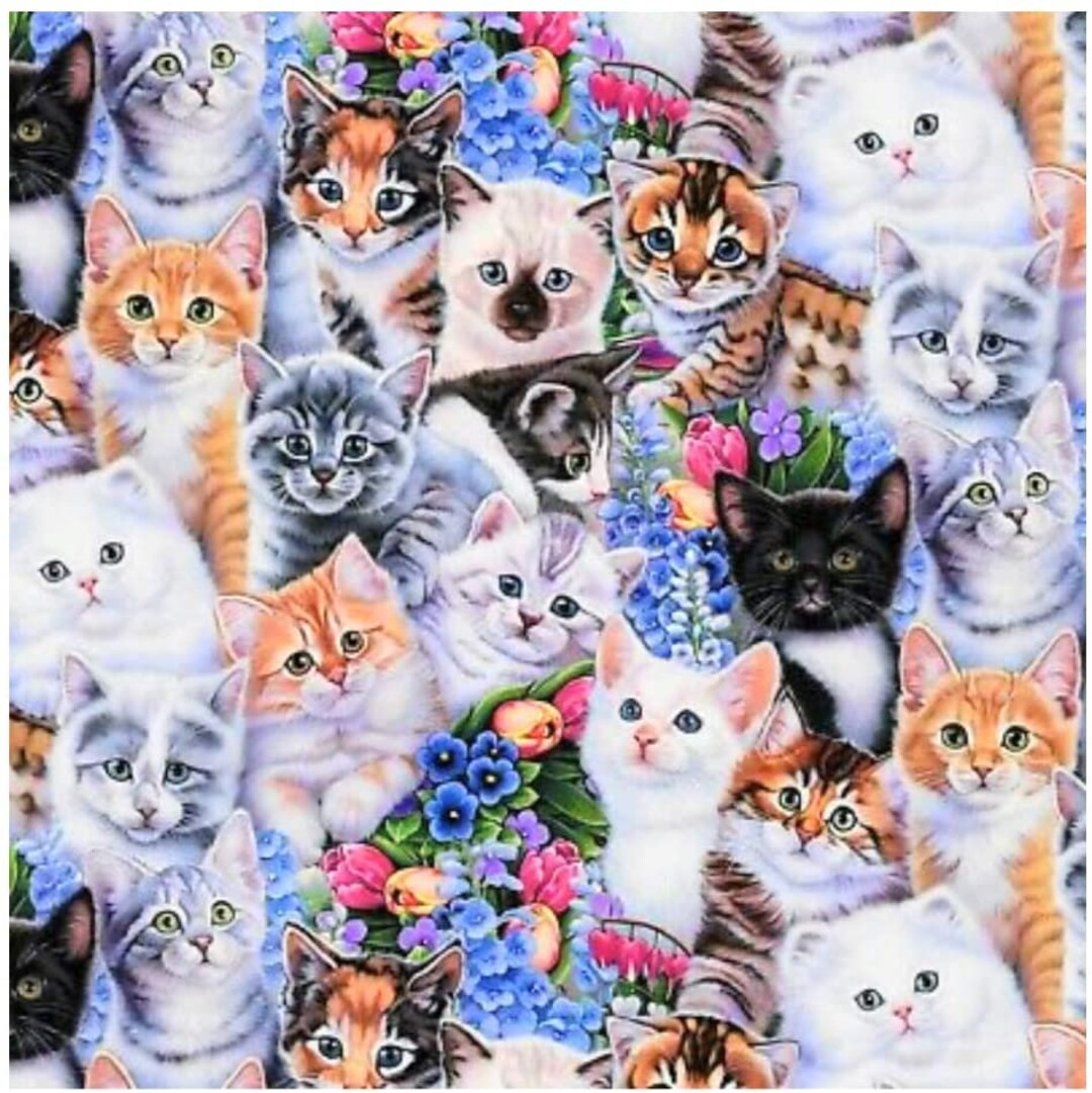 Fat Quarter Kittens Cats Kitty Kitties Animals Pets 18 - Etsy New Zealand Fat Quarter Kittens Cats Kitty Kitties Animals Pets 18 - Etsy New Zealand