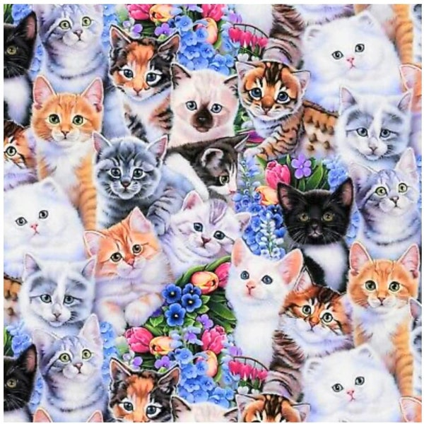 Fat Quarter - Kittens Cats Kitty Kitties Animals Pets 18" x 21" Precut Cotton Fabric Piece (AL-3202-FQ-1) M203.18