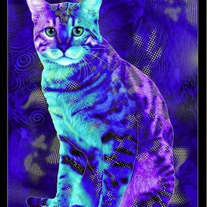 ◆Cat◆ Calico Cat 'n Balloons Greeting Card - Etsy