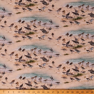 Cotton Sandpiper Pipers Beach Ocean Sand Coastal Dreams Landscape Cotton Fabric Print by the Yard (593SAND)