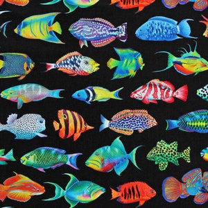 Cotton Coral Canyon Fishes Fish Animals Aquatic Creatures Water Ocean Black Cotton Fabric Print by the Yard (AQCD-19904-2-BLACK) D388.65