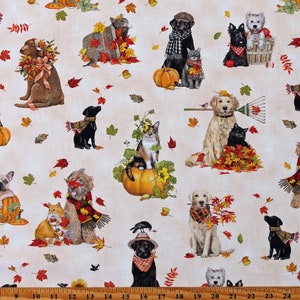 Cotton Autumn Cats & Dogs Cream Animals Pets Seasonal Cream Cotton Fabric Print by the Yard (AMKD-21803-84CREAM) D509.45