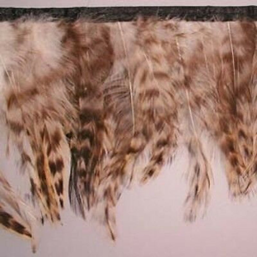 Brown Feathers with Black Dot, 4 inches, 2 pieces - #2-1