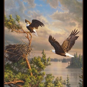 May include: A painting showing two bald eagles in a natural setting. One eagle perches on a tree branch near a nest, while the other soars in flight. The background features a lake, trees, and a cloudy sky.