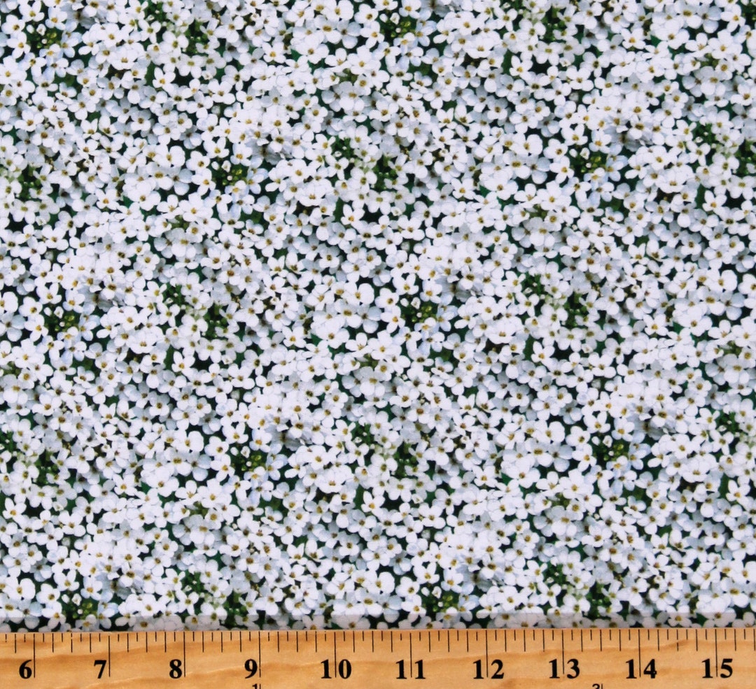 White fabric by the yard, white floral fabric, white flower fabric, white  cotton fabric, white on white fabric, white fabric basics, #20120