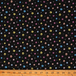 Cotton Cats Kittens Kitties Prints Paws Tracks Animals Pets Colorful Black Cotton Fabric Print by the Yard (CAT-CD2748-BLACK) D382.61
