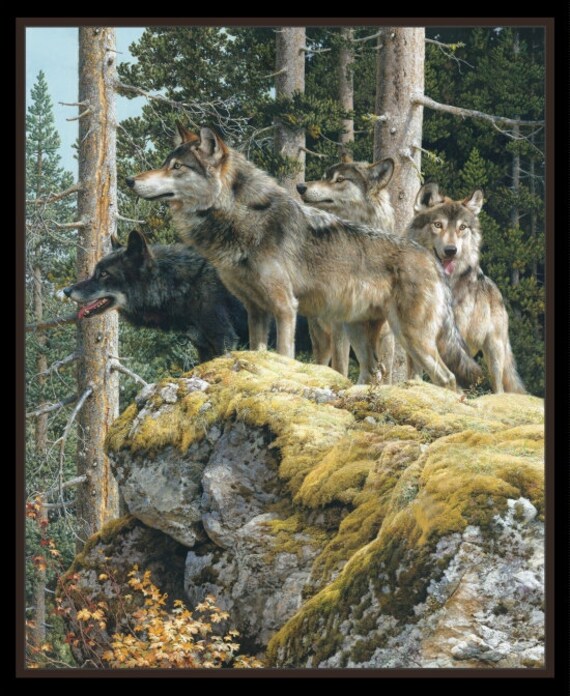 36 X 44 Panel Wolves Wolf Pack Alpha Male Animals - Etsy