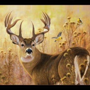 36&quot; X 44&quot; Panel Deer Bucks Animals Woodland Creatures Field Woods Black Cotton Fabric Panel (44001-BLACK) D482.66 by Elizabeth Studios