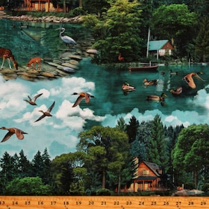 Cotton Our Lake Lakes Water Ponds Nature Outdoors Animals Wildlife Multicolor Cotton Fabric Print by the Yard D650.24 Michael Miller Fabrics
