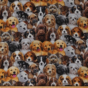 Cotton Puppies Puppy Dogs Breeds Beagles Golden Retrievers Pugs Basset Hounds Adorable Pets Animals Cotton Fabric Print by the Yard D650.05