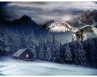 28.5" X 44" Panel Snow Owl Cabin Woods Mountains Call of the Wild Blue Cotton Fabric Panel (4459-128MIDNIGHT) D505.57