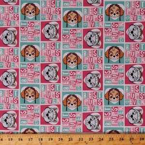 Cotton Paw Patrol Rescue Dogs Skye Everest Best Pups Ever Power Squares Pink Aqua Girls Fabric Print by the Yard D361.05 David Textiles