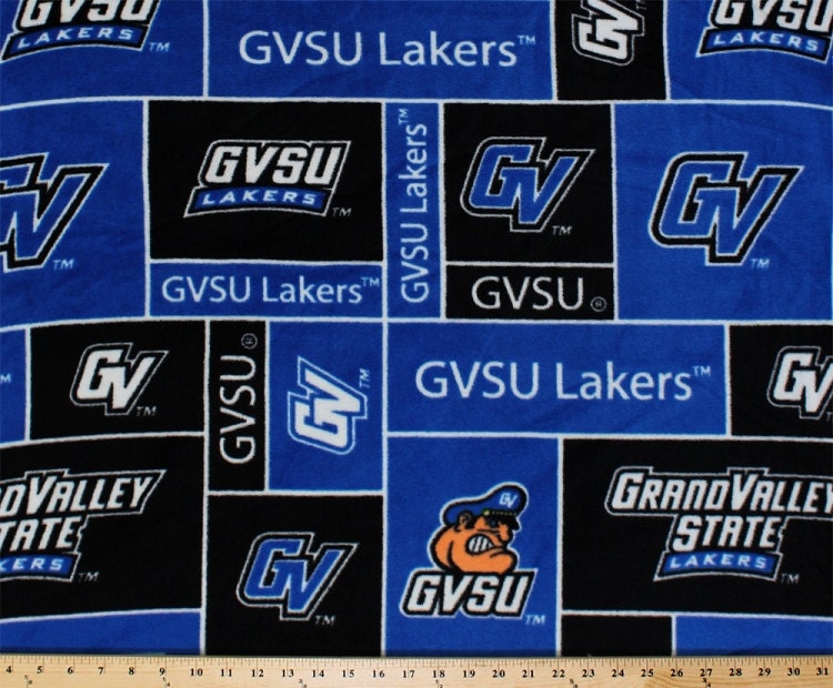  LOGOVISION GVSU Grand Valley State University Official One  Color Gvsu Lakers Logo Unisex Youth Pull-Over Hoodie,Athletic Heather,  Small : Sports & Outdoors