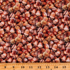 Cotton Acorns Nature Fall Autumn Landscape Medley Nuts Brown Cotton Fabric Print by the Yard (627BROWN) D514.38