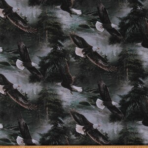 Cotton Bald Eagles Nature Scenic Animals Birds Wildlife Multicolor Cotton Fabric Print by the Yard (45591-A620715P) D586.48