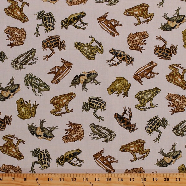 Cotton Amazon Frogs Animals on Cream Wildlife Amphibians Tropic Rainforest III Cotton Fabric Print by the Yard (06500-07) D761.20