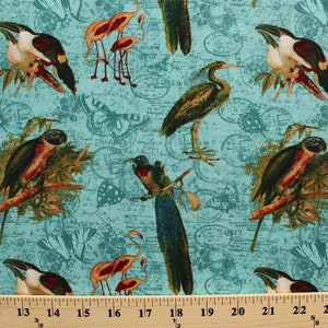 Cotton Tropical Travelogue Exotic Birds Butterflies Blue Cotton Fabric Print by the Yard (1825-85537-473w) D680.33