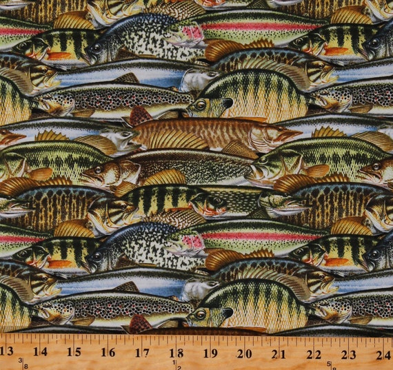 Cotton Fish Fishes Types Varieties Families Animals Keep It Reel Black Cotton  Fabric Print by the Yard 1357-60 D785.46 -  Canada