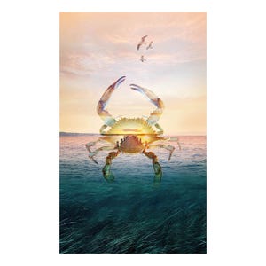 May include: A blue crab with a wooden pier and a sunset in the background. The crab is in the water with green seaweed in the foreground.