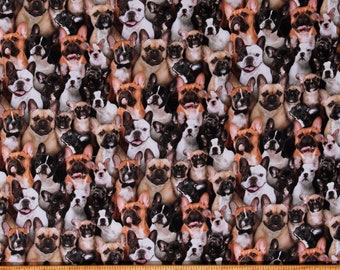 Cotton Best Friend French Bulldogs Animals Pets Dogs Puppies Multicolor Cotton Fabric Print by the Yard (687-MULT) D760.48