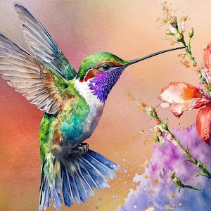 May include: A watercolour painting of a hummingbird in flight, with wings outstretched. The bird features green, blue, and purple feathers. It approaches a flower with orange and pink petals, set against a colourful background.