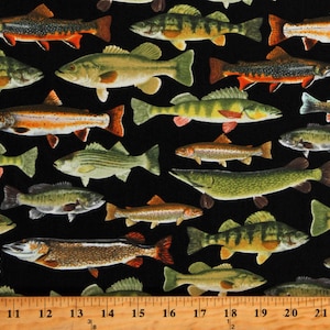 Cotton Fish Fishing Fishes Aquatic Animals Bass Trout Walleye Black Cotton Fabric Print by the Yard (NATURE-C6405-BLACK) D688.81