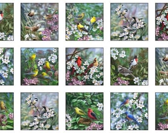 24" X 44" Panel Birds Bird-Watching Flowers Nature Springtime Tweethearts White Cotton Fabric Panel (40000WHITE) D487.83