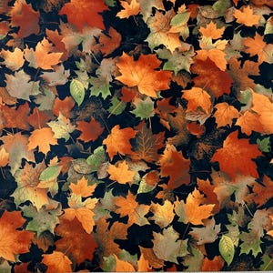May include: Fabric with a repeating pattern of autumn leaves in shades of orange, brown, green, and yellow against a dark background. The leaves vary in size and shape, creating a natural, textured look. The fabric is suitable for fall-themed crafts and decor.