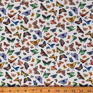 Cotton Colorful Butterflies on Cream Butterfly Delicate Creation Cotton Fabric Print by the Yard (34003CREAM) D384.54