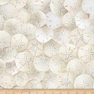 Cotton Beach Comber Timeless Treasures Landscape Travel Vacation Destination Sand Dollars Shells Sand Ocean Fabric Print by the Yard D683.79