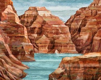 28" X 43" Panel Stonehenge Canyon Valley Water Rocks Hidden Passages Northcott Multicolor Cotton Fabric Panel (DP29141-44) D472.55