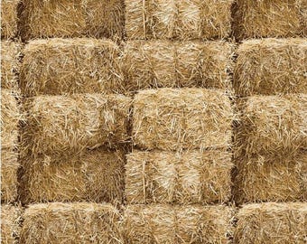Cotton Farmall Hay Bales Farming Grass Feed Crops Officially Licensed by AE Nathan Brown Cotton Fabric Print by the Yard (2872-33) D370.03