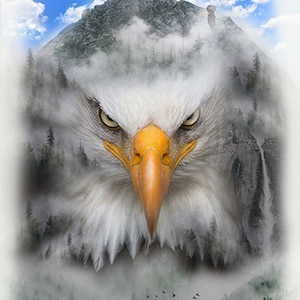 30&quot; X 44&quot; Panel Bald Eagle Mountains Birds Scenic Landscape Call of the Wild Digital Print Cotton Fabric Panel V5272-483Fog D374.81 Hoffman