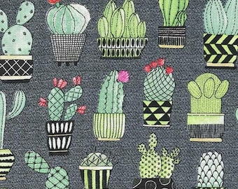 Duck Canvas Cactus Hoedown on Cotton Duck Michael Miller Cacti Southwestern 45" Wide Home Decor Fabric by the Yard (C07298-GRAY-D) D456.27