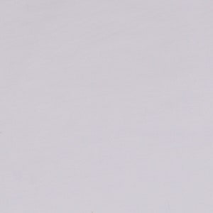 May include: A plain white background.