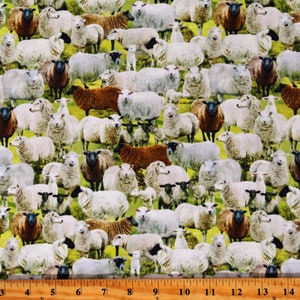 Cotton Packed Sheep Lambs Farm Animals Cotton Fabric Print by the Yard (FARM-CD3077-SAGE) D364.59