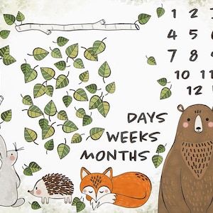 36&quot; X 44&quot; Panel Animals Foxes Rabbits Bears Baby Photography Calendar Oh How They Grow White Cotton Fabric Panel (D751.17) Robert Kaufman