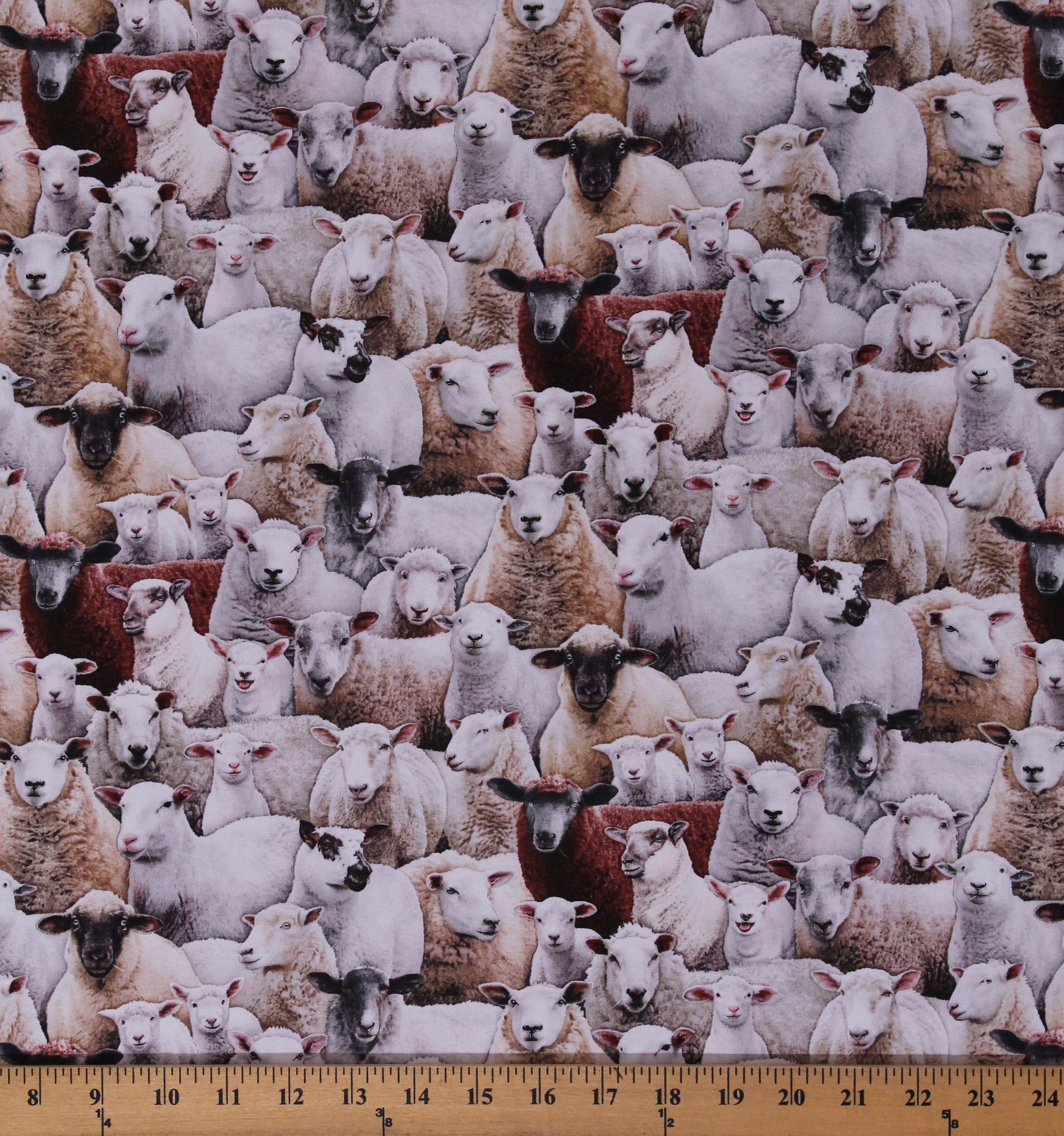 Cotton Sheep Lambs Flock Herd Realistic Farm Animals Etsy