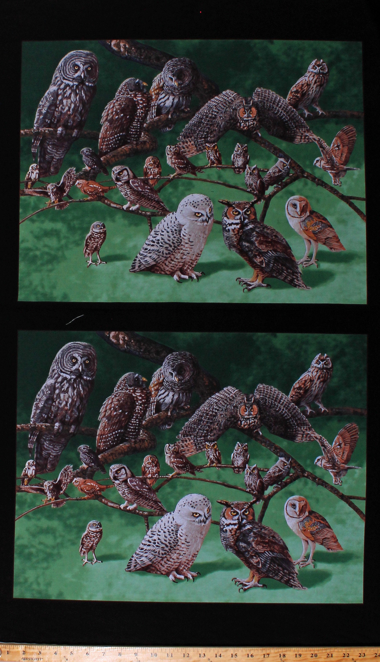 Owls Babyville PUL Fabric