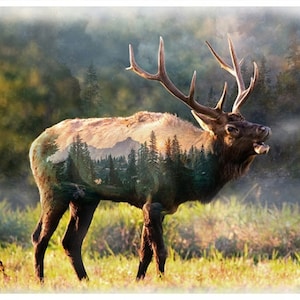 May include: A large, brown elk with antlers stands in a field of green grass. The elk's body is partially transparent, revealing a forest scene behind it. The forest scene includes trees, mountains, and a blue sky.