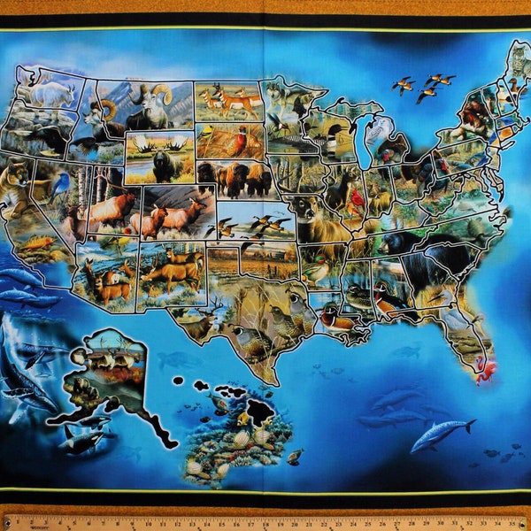 Fabric Map of the United States - Il 600x600.3800940589 8qbn 