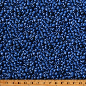 Cotton Blueberries Packed Berries Berry Fruits Food Summer Blueberry Hill Cotton Fabric Print by the Yard (12636-55) D569.74