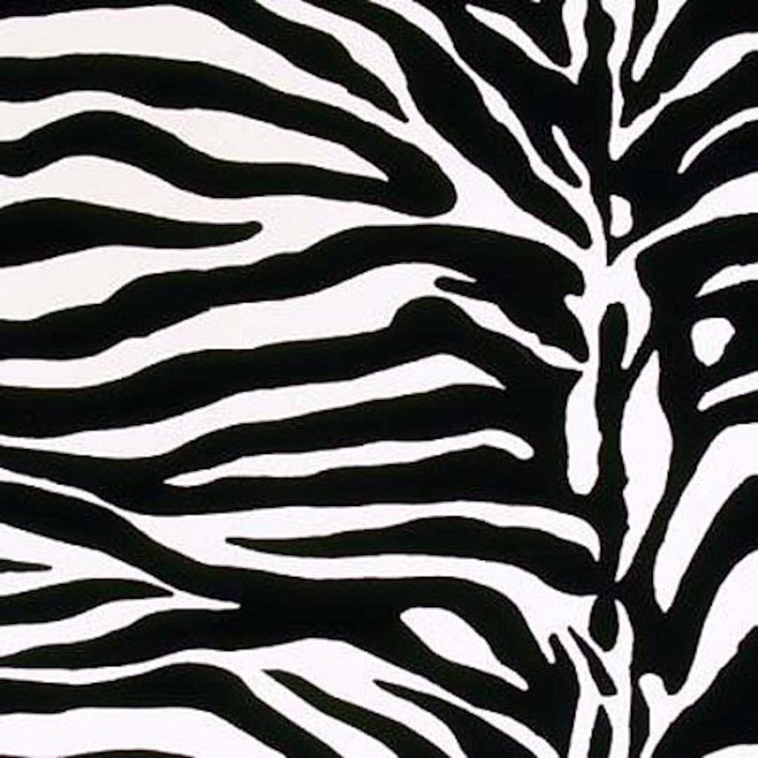 Fleece Zebra Fleece Fabric Fabric Print by the Yard A19269b A232.03 Etsy
