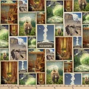 Cotton National Parks Posters Postcards Pictures USA Parks Travel Explorer Hiking Cotton Fabric Print by the Yard D472.46 David Textiles