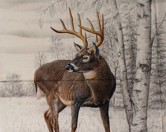 36" X 44" Panel Big Game Deer Buck Snowy Winter Seasonal Woods Forest Woodland Animal Cotton Fabric Panel (PD12976-DEER) D478.63 Riley Blake