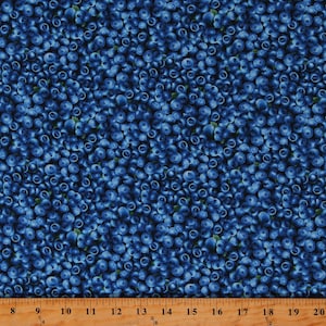 Cotton Blueberry Packed Blueberries Fruit Food Leaves Chow Blue Cotton Fabric Print by the Yard (FRUIT-CD1748-BLUE) D566.10