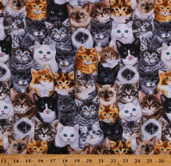 Cat fabric deals